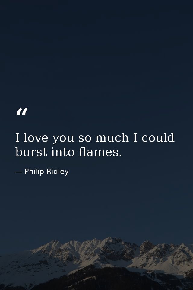 I love you so much I could burst into flames. — Philip Ridley