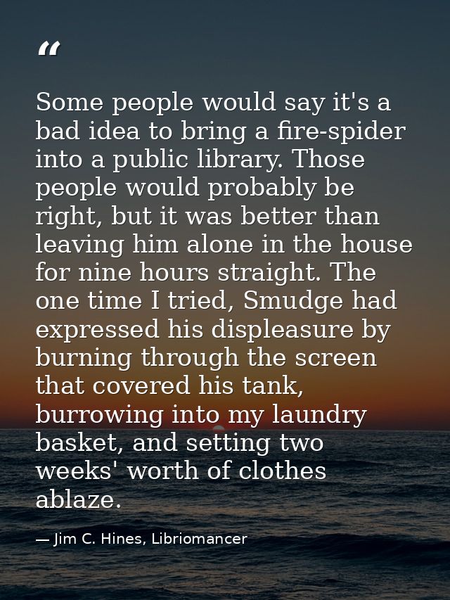 Some people would say it's a bad idea to bring a fire-spider into a public library. Those people would probably be right — Jim C. Hines, Libriomancer