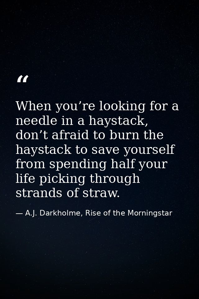 When you’re looking for a needle in a haystack, don’t afraid to burn the haystack to save yourself from spending half yo — A.J. Darkholme, Rise of the Morningstar
