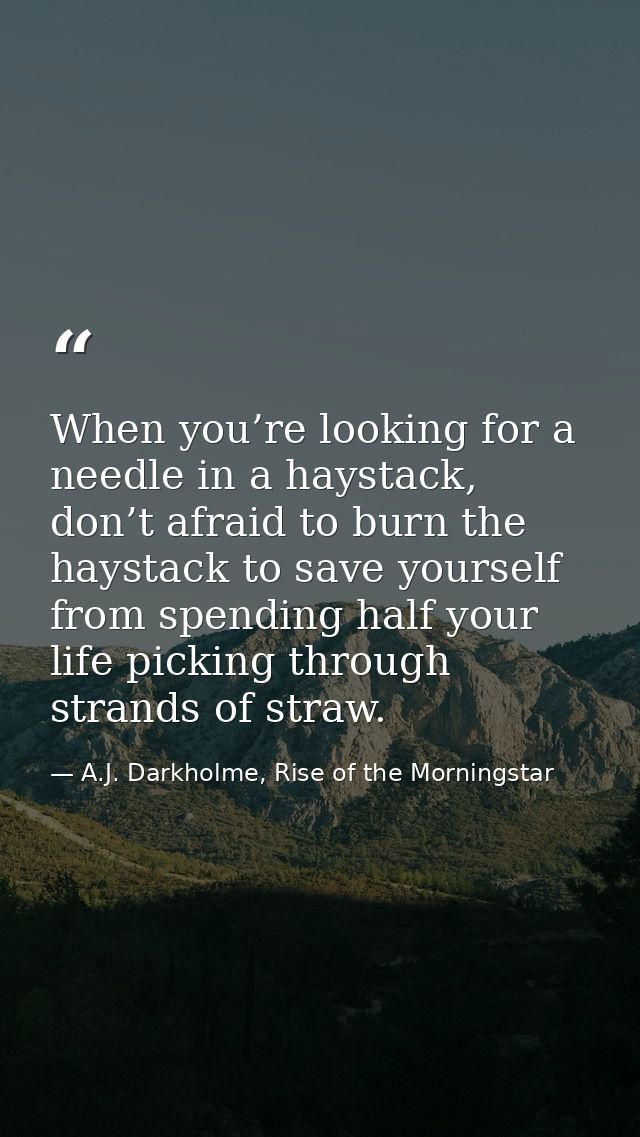 When you’re looking for a needle in a haystack, don’t afraid to burn the haystack to save yourself from spending half yo — A.J. Darkholme, Rise of the Morningstar