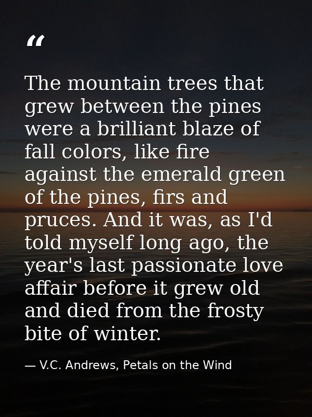 The mountain trees that grew between the pines were a brilliant blaze of fall colors, like fire against the emerald gree — V.C. Andrews, Petals on the Wind