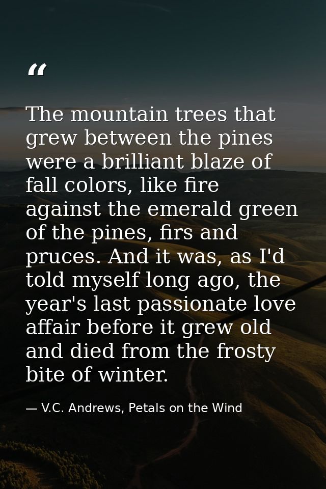 The mountain trees that grew between the pines were a brilliant blaze of fall colors, like fire against the emerald gree — V.C. Andrews, Petals on the Wind