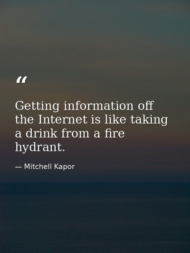 Getting information off the Internet is like taking a drink from a fire hydrant. — Mitchell Kapor