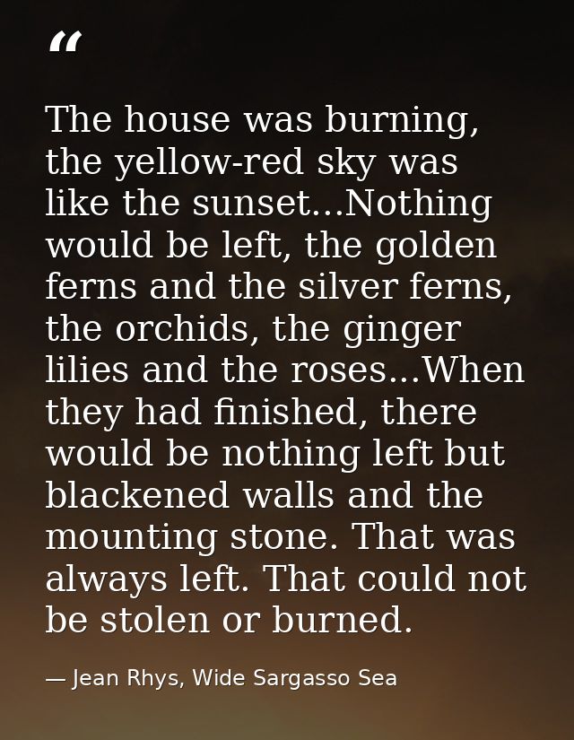 The house was burning, the yellow-red sky was like the sunset...Nothing would be left, the golden ferns and the silver f — Jean Rhys, Wide Sargasso Sea
