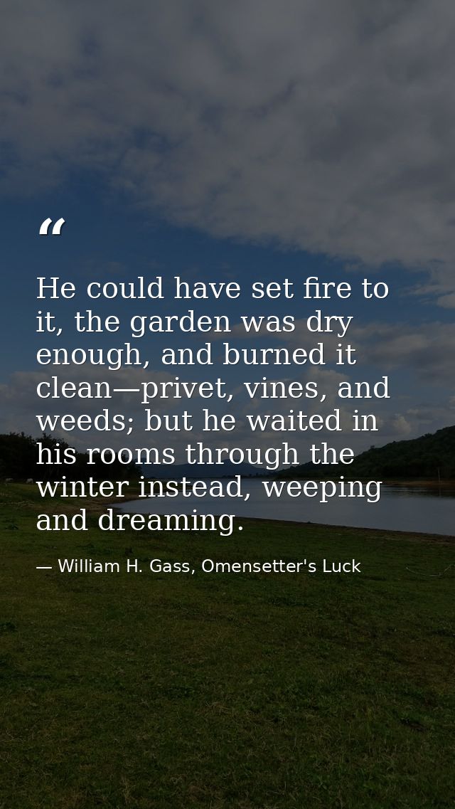 He could have set fire to it, the garden was dry enough, and burned it clean—privet, vines, and weeds; but he waited in  — William H. Gass, Omensetter's Luck