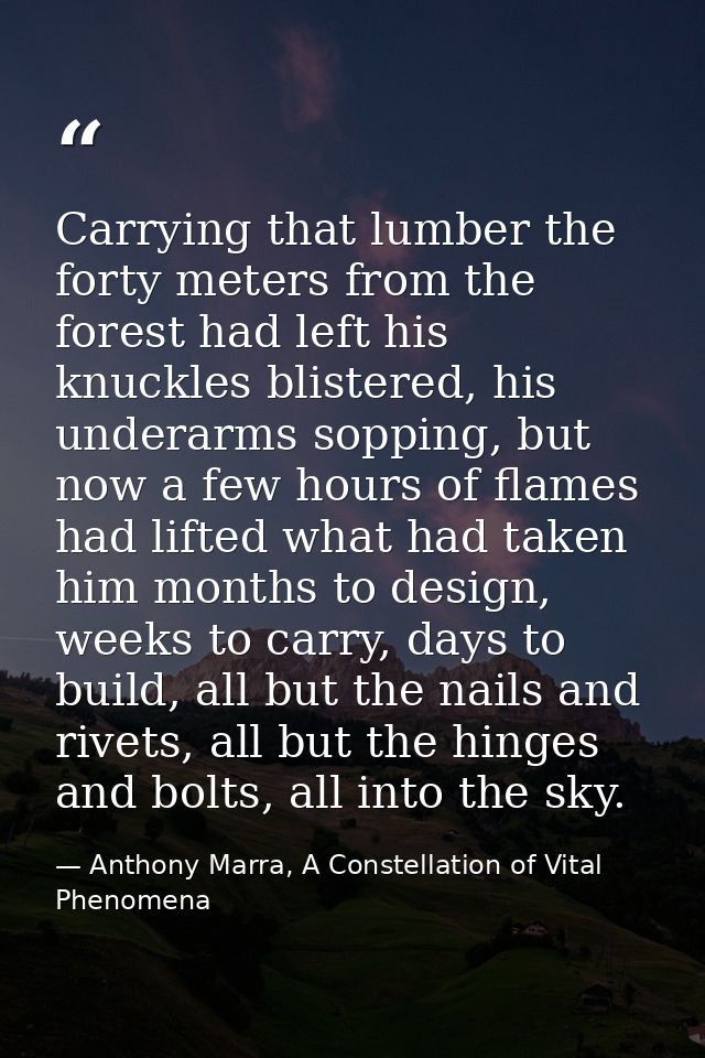 Carrying that lumber the forty meters from the forest had left his knuckles blistered, his underarms sopping, but now a  — Anthony Marra, A Constellation of Vital Phenomena