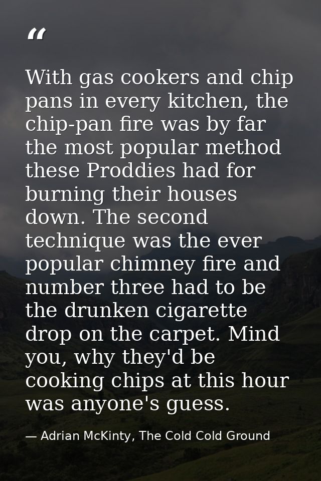 With gas cookers and chip pans in every kitchen, the chip-pan fire was by far the most popular method these Proddies had — Adrian McKinty, The Cold Cold Ground