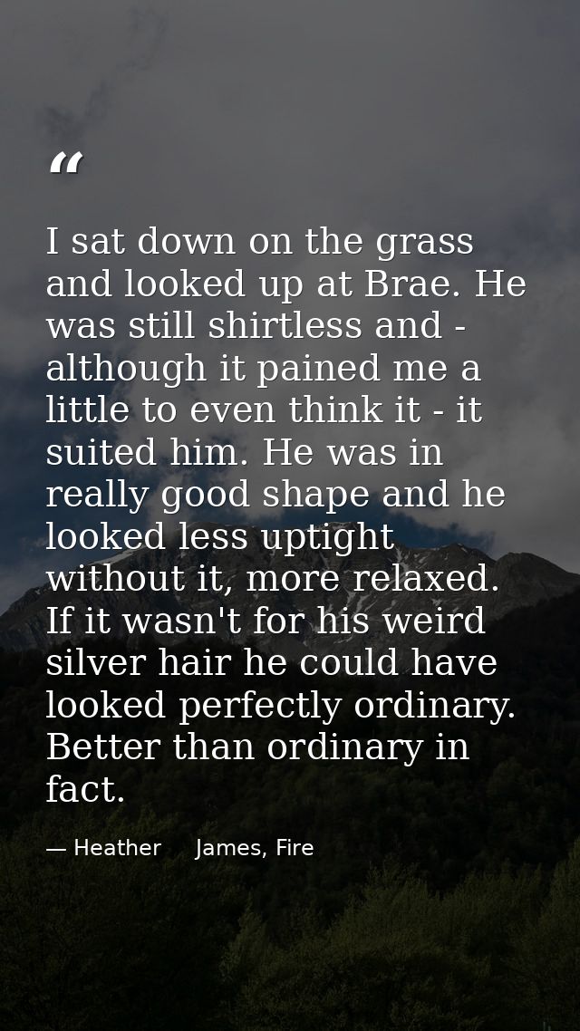 I sat down on the grass and looked up at Brae. He was still shirtless and - although it pained me a little to even think — Heather     James, Fire