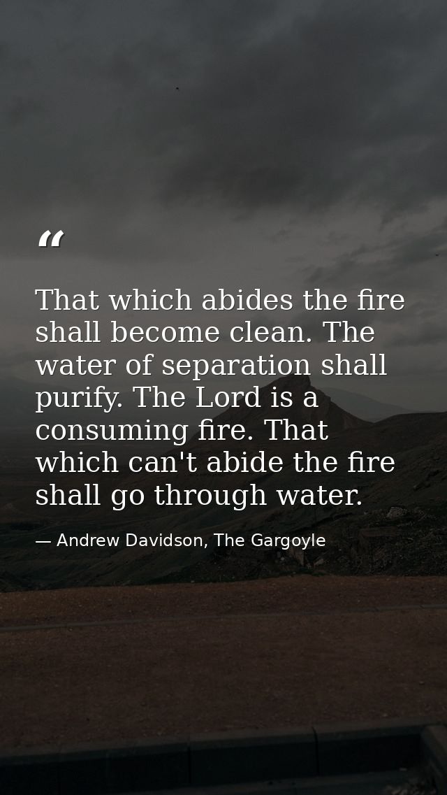 That which abides the fire shall become clean. The water of separation shall purify. The Lord is a consuming fire. That  — Andrew Davidson, The Gargoyle