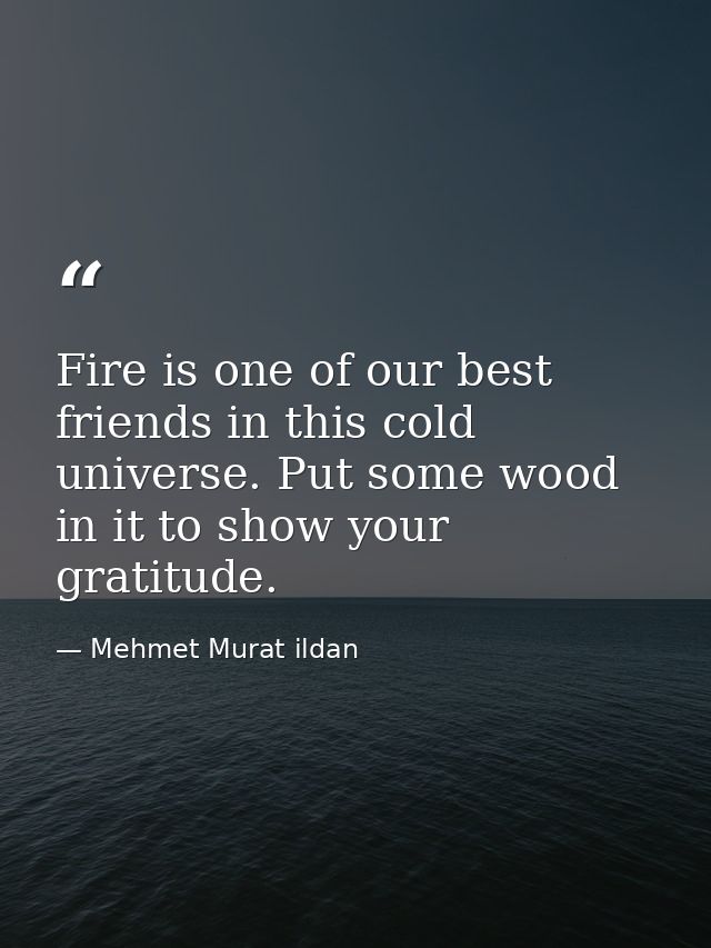 Fire is one of our best friends in this cold universe. Put some wood in it to show your gratitude. — Mehmet Murat ildan