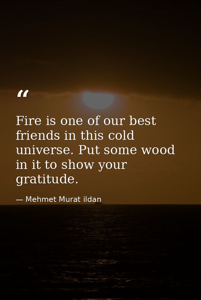 Fire is one of our best friends in this cold universe. Put some wood in it to show your gratitude. — Mehmet Murat ildan