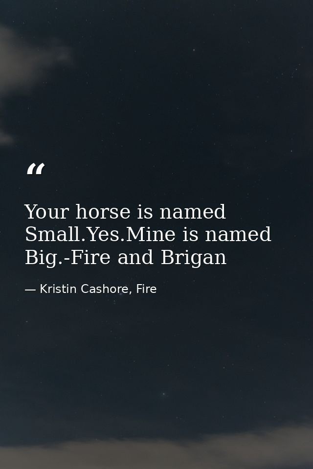Your horse is named Small.Yes.Mine is named Big.-Fire and Brigan — Kristin Cashore, Fire