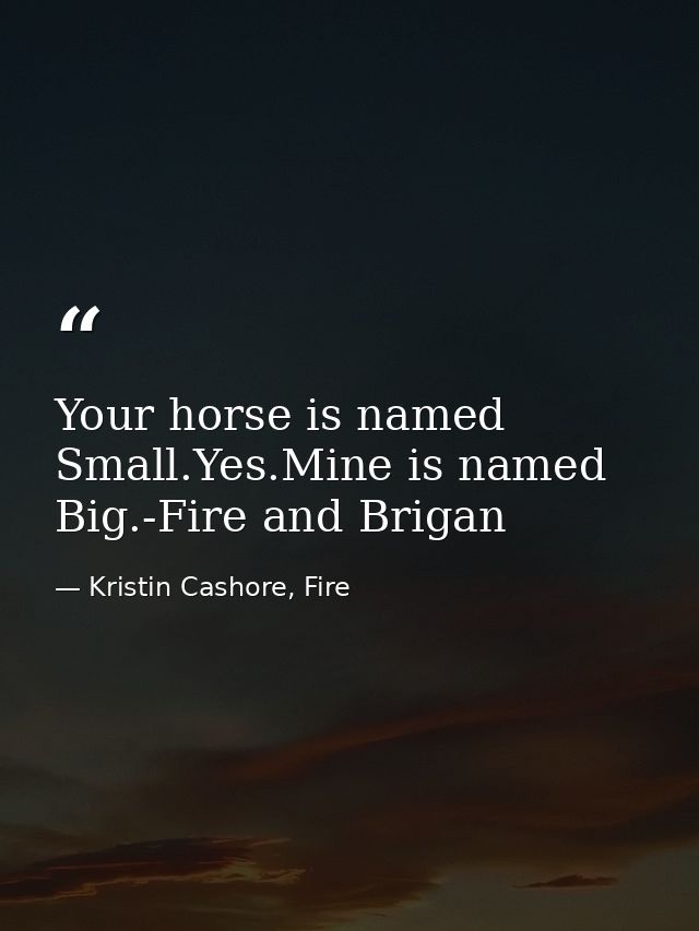 Your horse is named Small.Yes.Mine is named Big.-Fire and Brigan — Kristin Cashore, Fire