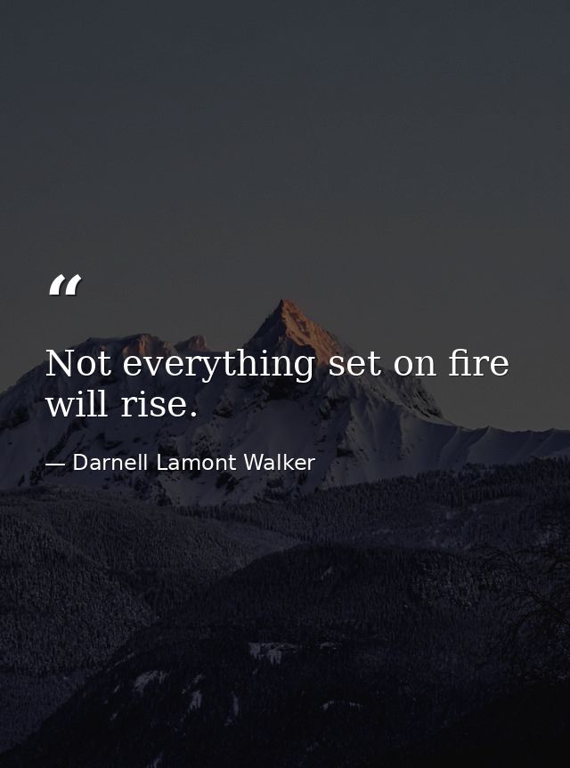 Not everything set on fire will rise. — Darnell Lamont Walker