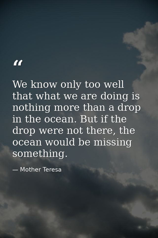 We know only too well that what we are doing is nothing more than a drop in the ocean. But if the drop were not there, t — Mother Teresa