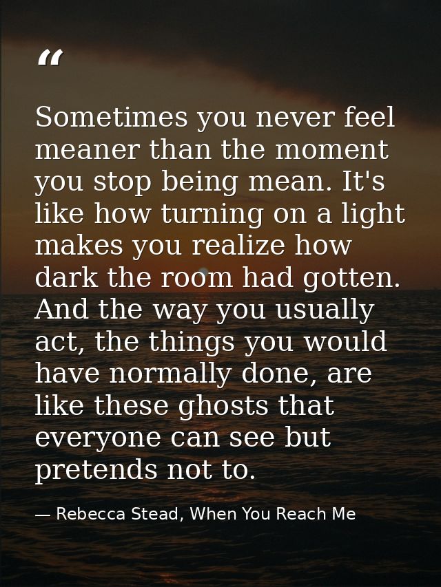 Sometimes you never feel meaner than the moment you stop being mean. It's like how turning on a light makes you realize  — Rebecca Stead, When You Reach Me