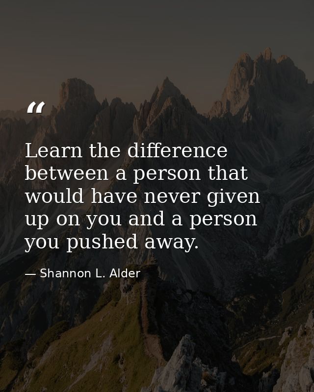Learn the difference between a person that would have never given up on you and a person you pushed away. — Shannon L. Alder