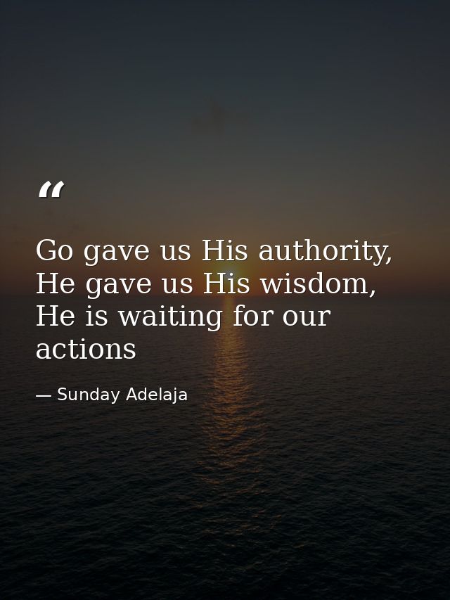 Go gave us His authority, He gave us His wisdom, He is waiting for our actions — Sunday Adelaja
