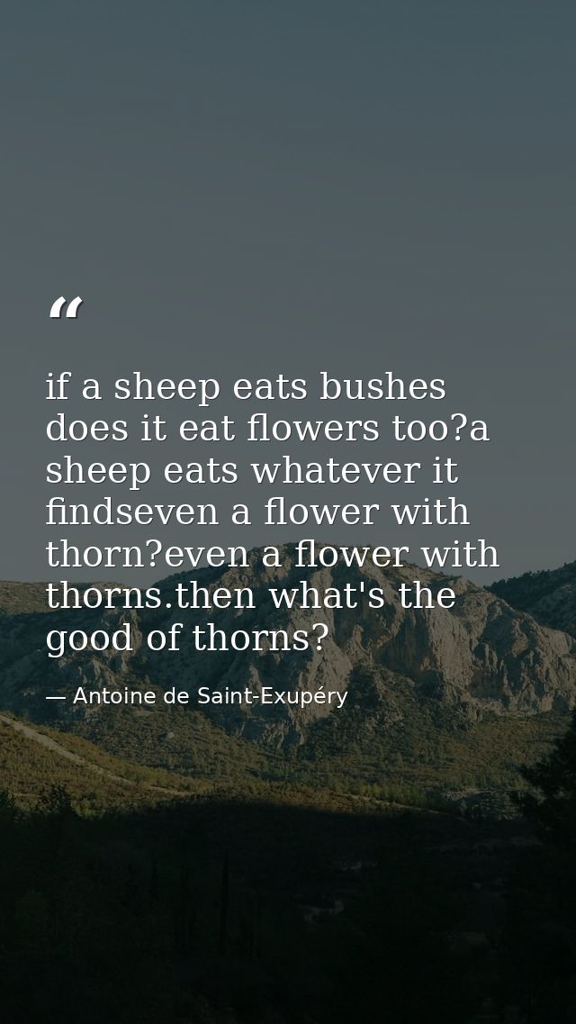 if a sheep eats bushes does it eat flowers too?a sheep eats whatever it findseven a flower with thorn?even a flower with — Antoine de Saint-Exupéry
