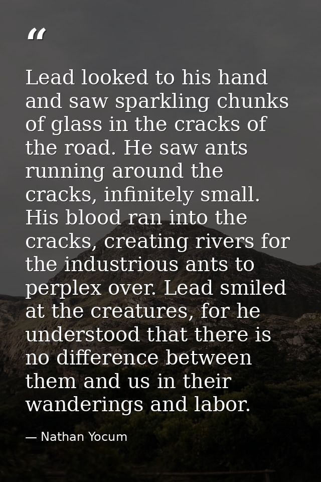 Lead looked to his hand and saw sparkling chunks of glass in the cracks of the road. He saw ants running around the crac — Nathan Yocum