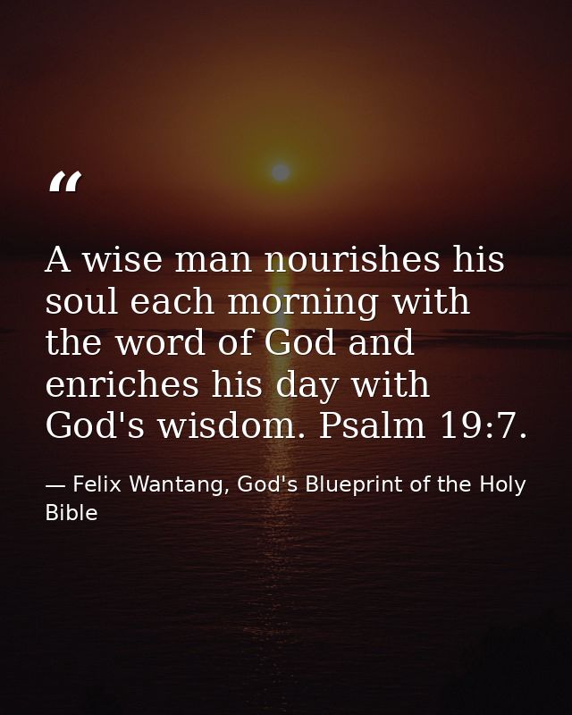 A wise man nourishes his soul each morning with the word of God and enriches his day with God's wisdom. Psalm 19:7. — Felix Wantang, God's Blueprint of the Holy Bible