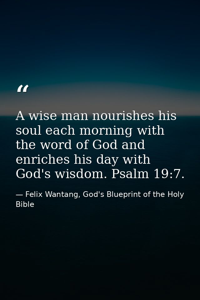 A wise man nourishes his soul each morning with the word of God and enriches his day with God's wisdom. Psalm 19:7. — Felix Wantang, God's Blueprint of the Holy Bible