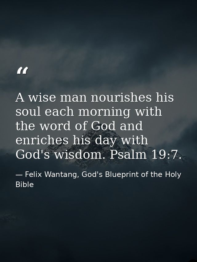 A wise man nourishes his soul each morning with the word of God and enriches his day with God's wisdom. Psalm 19:7. — Felix Wantang, God's Blueprint of the Holy Bible