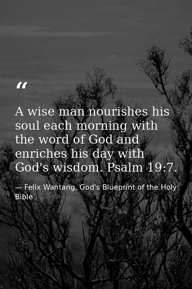 A wise man nourishes his soul each morning with the word of God and enriches his day with God's wisdom. Psalm 19:7. — Felix Wantang, God's Blueprint of the Holy Bible