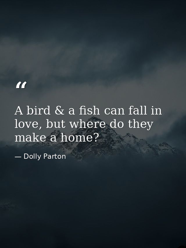 A bird & a fish can fall in love, but where do they make a home? — Dolly Parton