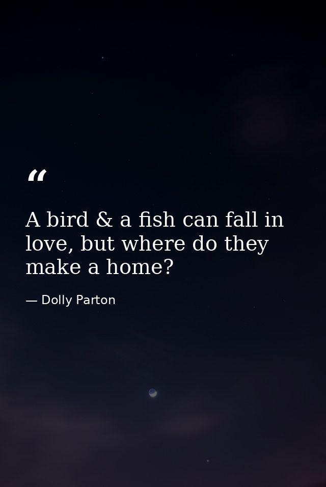 A bird & a fish can fall in love, but where do they make a home? — Dolly Parton