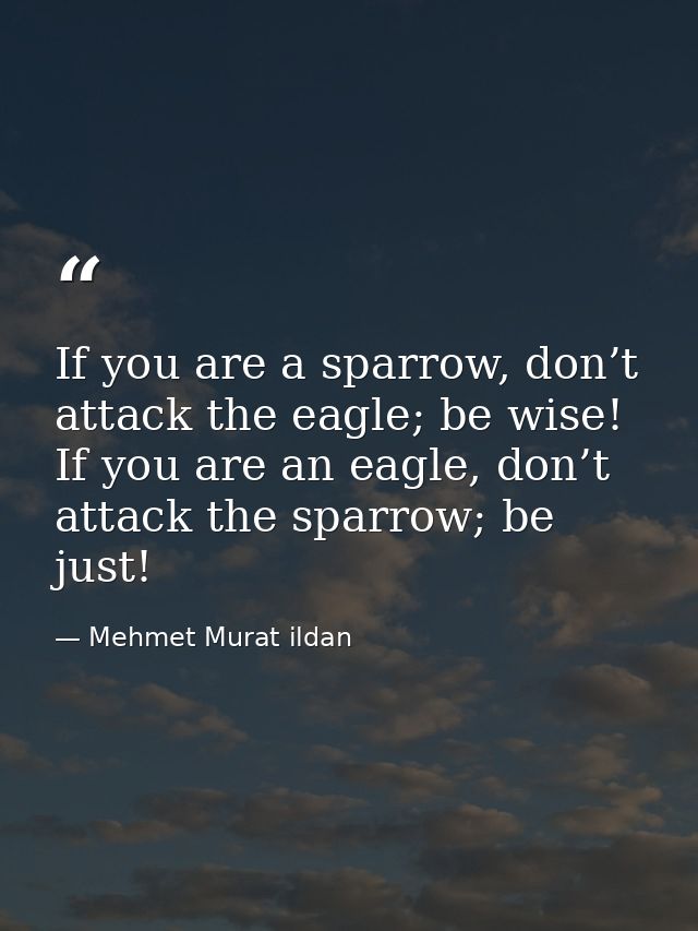 If you are a sparrow, don’t attack the eagle; be wise! If you are an eagle, don’t attack the sparrow; be just! — Mehmet Murat ildan