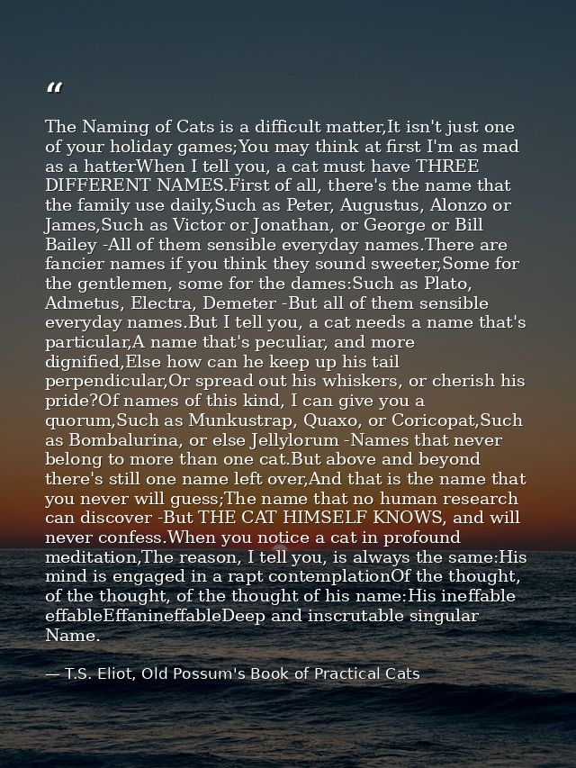The Naming of Cats is a difficult matter,It isn't just one of your holiday games;You may think at first I'm as mad as a  — T.S. Eliot, Old Possum's Book of Practical Cats