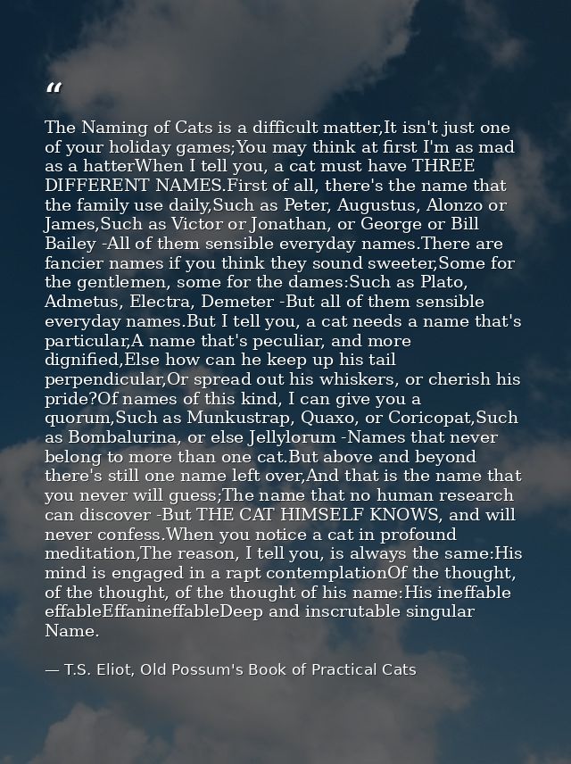 The Naming of Cats is a difficult matter,It isn't just one of your holiday games;You may think at first I'm as mad as a  — T.S. Eliot, Old Possum's Book of Practical Cats