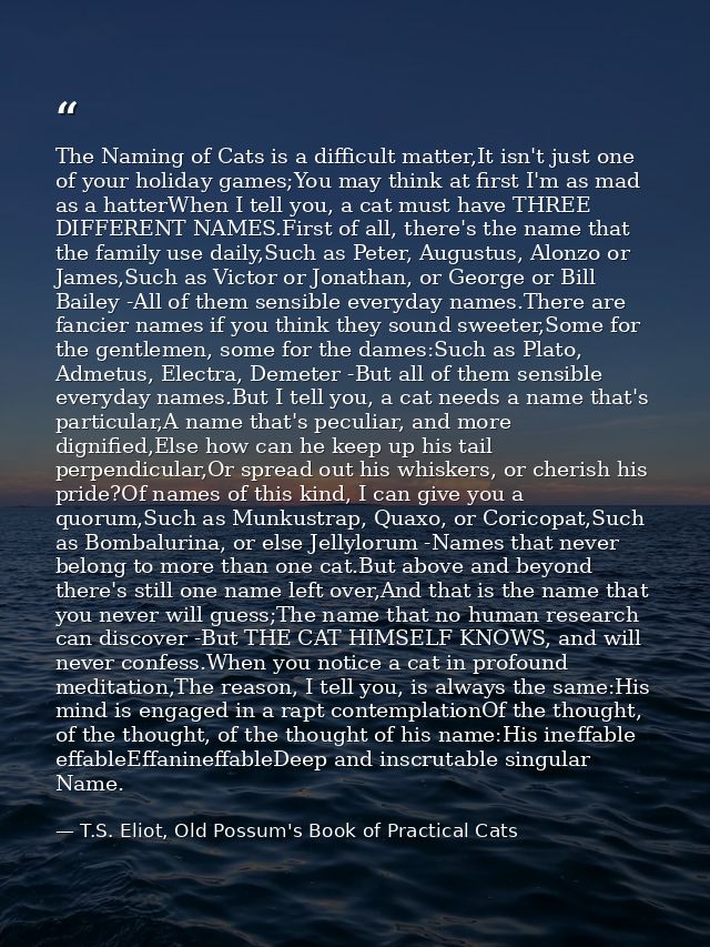 The Naming of Cats is a difficult matter,It isn't just one of your holiday games;You may think at first I'm as mad as a  — T.S. Eliot, Old Possum's Book of Practical Cats