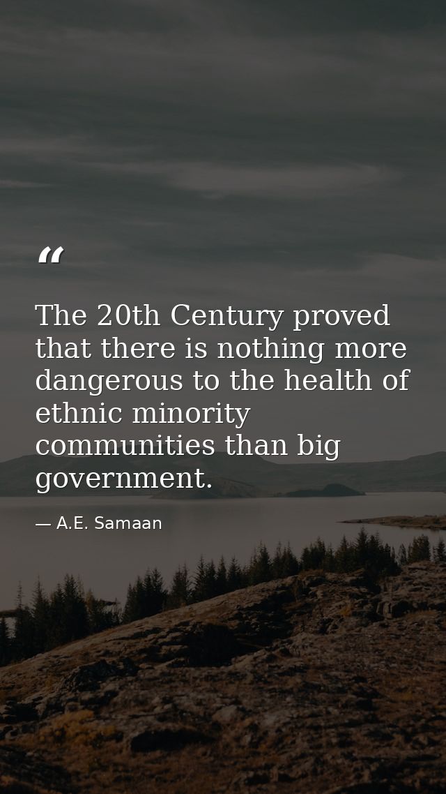 The 20th Century proved that there is nothing more dangerous to the health of ethnic minority communities than big gover — A.E. Samaan