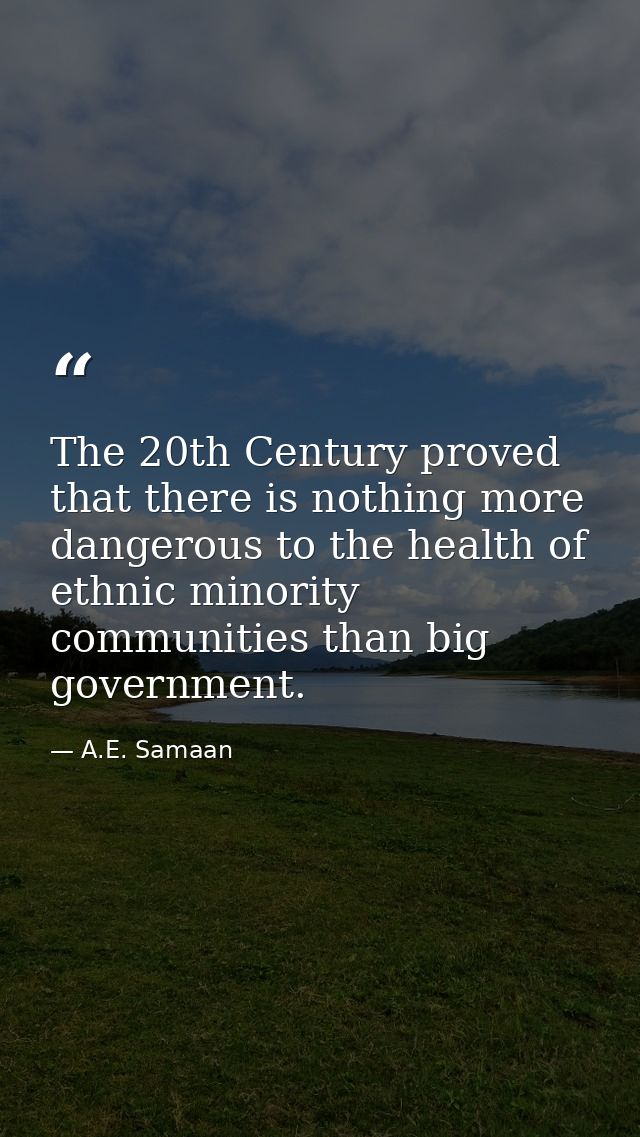The 20th Century proved that there is nothing more dangerous to the health of ethnic minority communities than big gover — A.E. Samaan