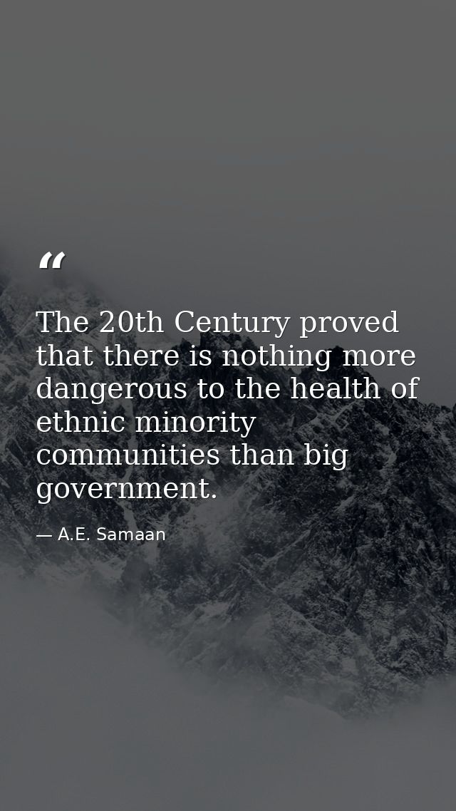 The 20th Century proved that there is nothing more dangerous to the health of ethnic minority communities than big gover — A.E. Samaan