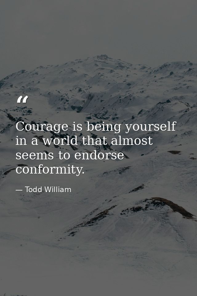 Courage is being yourself in a world that almost seems to endorse conformity. — Todd William