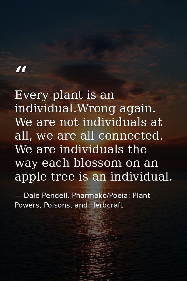 Every plant is an individual.Wrong again. We are not individuals at all, we are all connected. We are individuals the wa — Dale Pendell, Pharmako/Poeia: Plant Powers, Poisons, and Herbcraft
