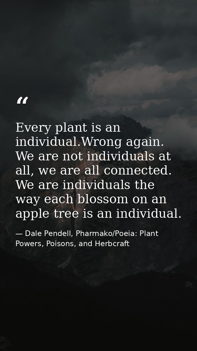 Every plant is an individual.Wrong again. We are not individuals at all, we are all connected. We are individuals the wa — Dale Pendell, Pharmako/Poeia: Plant Powers, Poisons, and Herbcraft