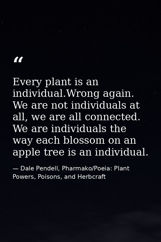 Every plant is an individual.Wrong again. We are not individuals at all, we are all connected. We are individuals the wa — Dale Pendell, Pharmako/Poeia: Plant Powers, Poisons, and Herbcraft