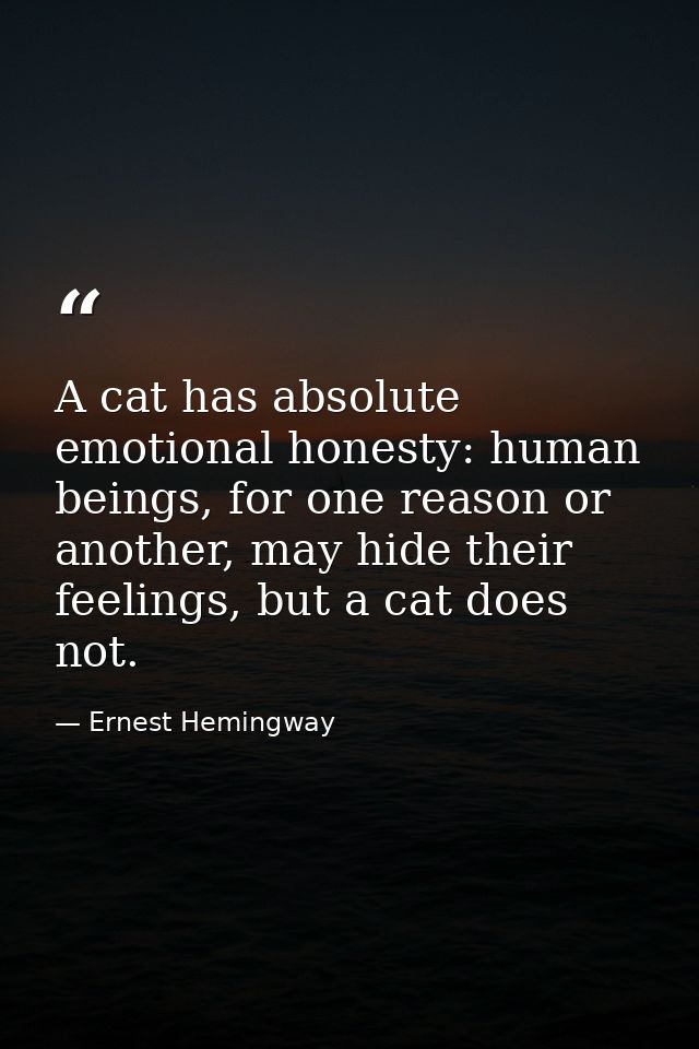 A cat has absolute emotional honesty: human beings, for one reason or another, may hide their feelings, but a cat does n — Ernest Hemingway