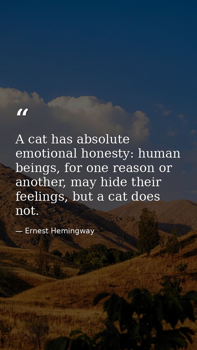 A cat has absolute emotional honesty: human beings, for one reason or another, may hide their feelings, but a cat does n — Ernest Hemingway