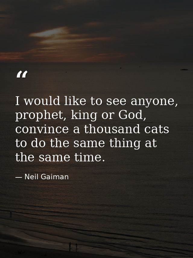 I would like to see anyone, prophet, king or God, convince a thousand cats to do the same thing at the same time. — Neil Gaiman