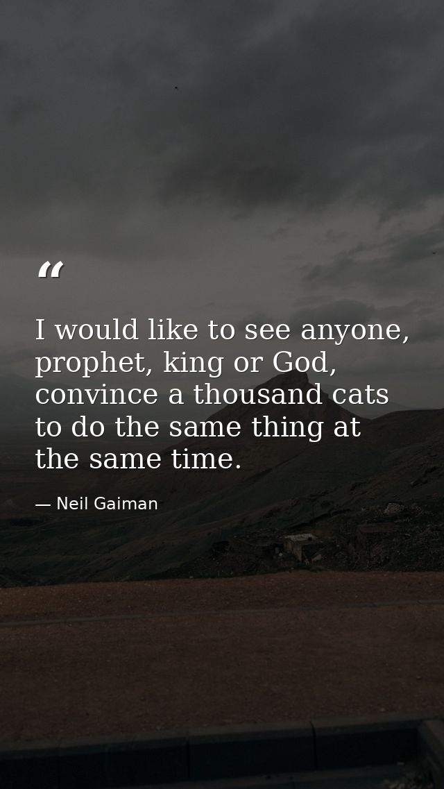 I would like to see anyone, prophet, king or God, convince a thousand cats to do the same thing at the same time. — Neil Gaiman