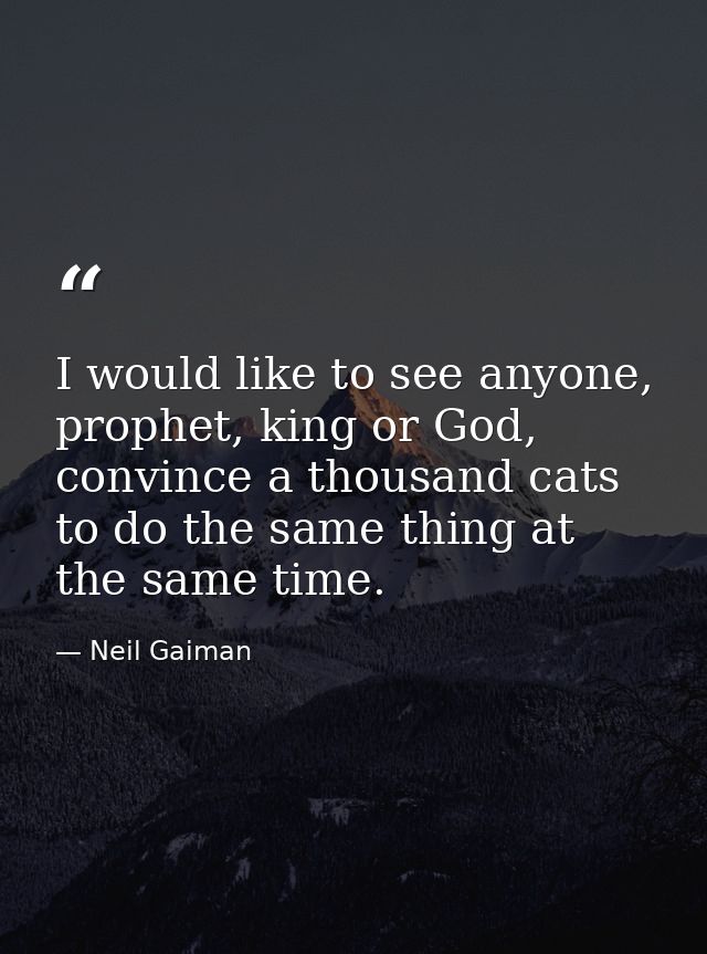 I would like to see anyone, prophet, king or God, convince a thousand cats to do the same thing at the same time. — Neil Gaiman