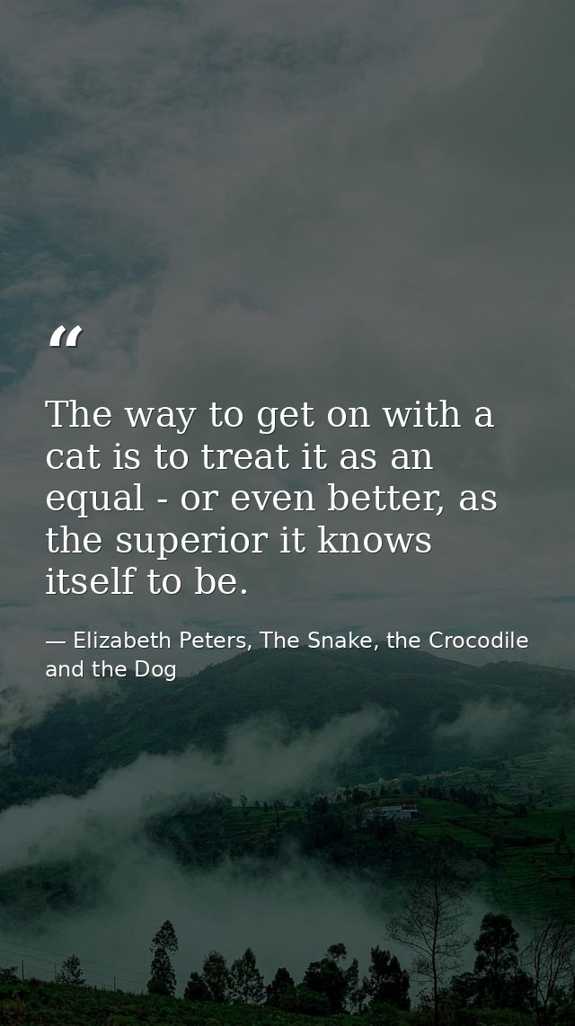 The way to get on with a cat is to treat it as an equal - or even better, as the superior it knows itself to be. — Elizabeth Peters, The Snake, the Crocodile and the Dog