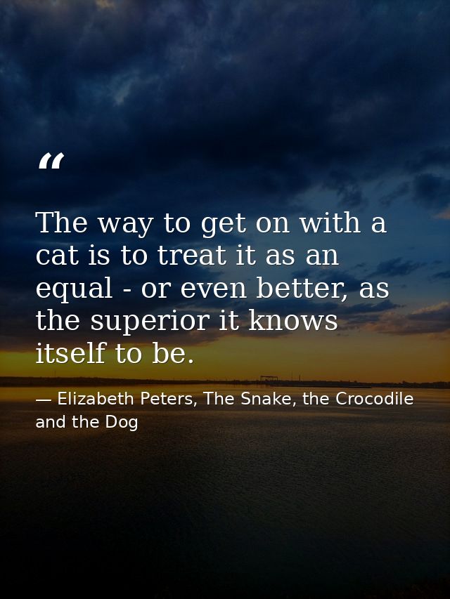 The way to get on with a cat is to treat it as an equal - or even better, as the superior it knows itself to be. — Elizabeth Peters, The Snake, the Crocodile and the Dog