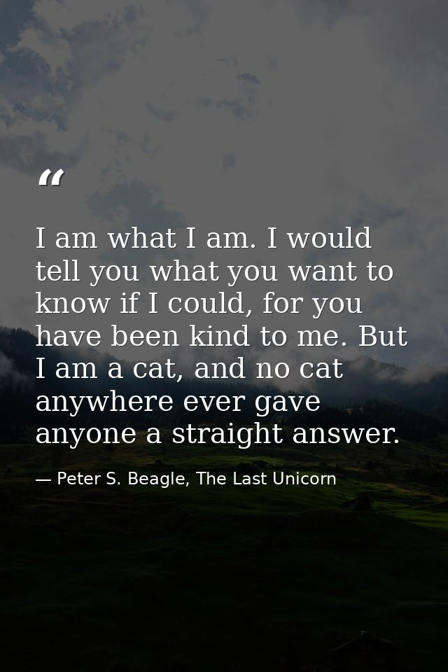 I am what I am. I would tell you what you want to know if I could, for you have been kind to me. But I am a cat, and no  — Peter S. Beagle, The Last Unicorn