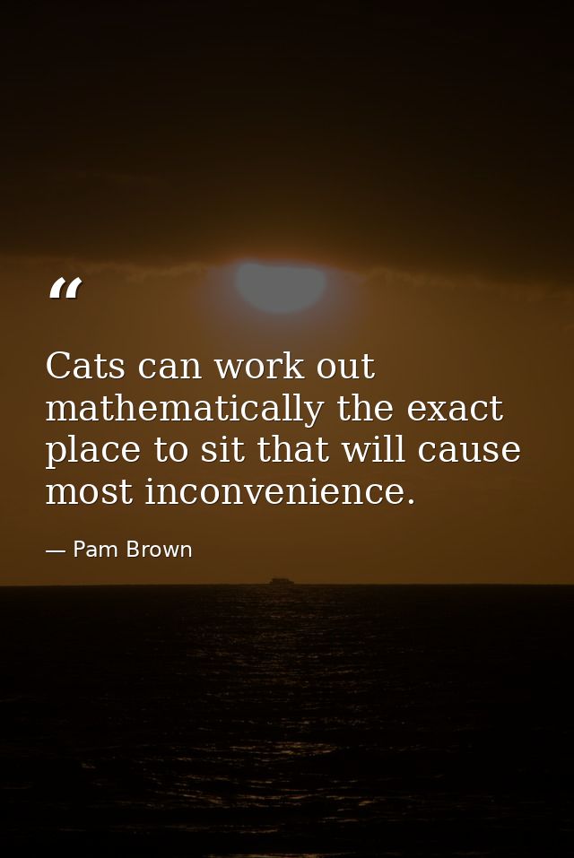 Cats can work out mathematically the exact place to sit that will cause most inconvenience. — Pam Brown